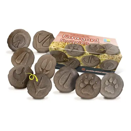 Let's Investigate Farmyard Footprints - Investiguemos huellas de Granja