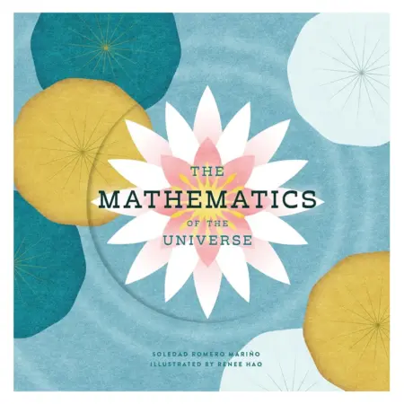 The Mathematics of the Universe