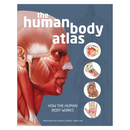 The Human Body Atlas