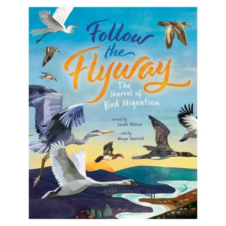 Follow the Flyway Pp