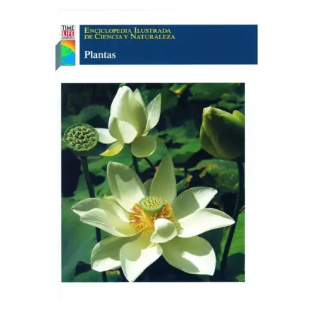 ECN Plantas